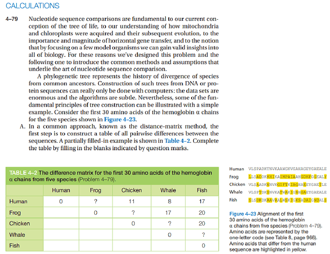 photo5343929143433213353