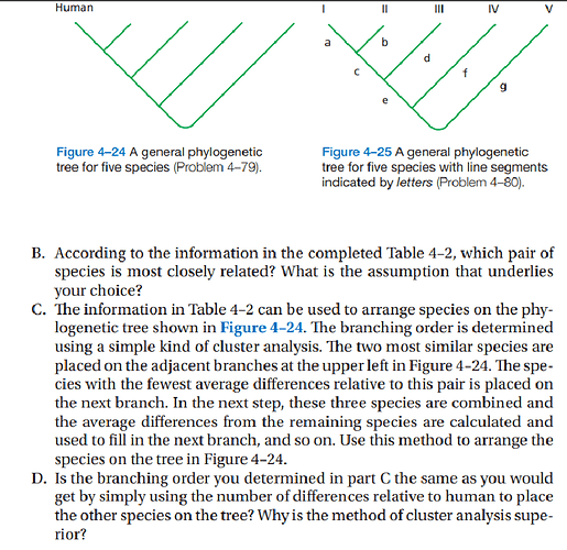 photo5343929143433213354