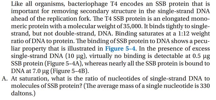 photo5352625962581342262 (1)