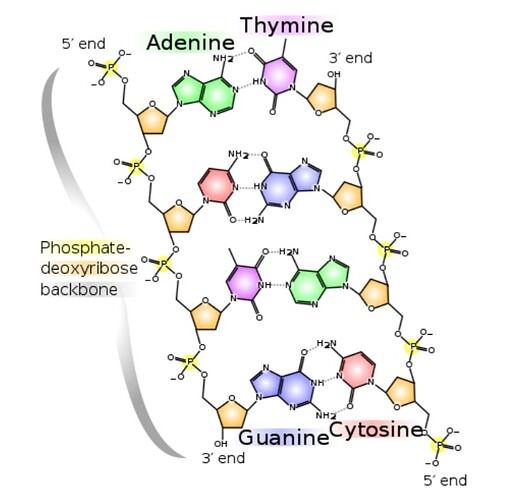 Screenshot_20240130-122554_Chrome