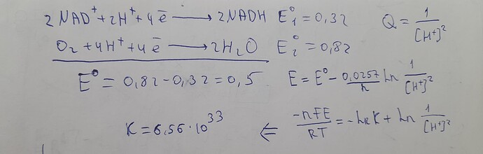 20230210_140230