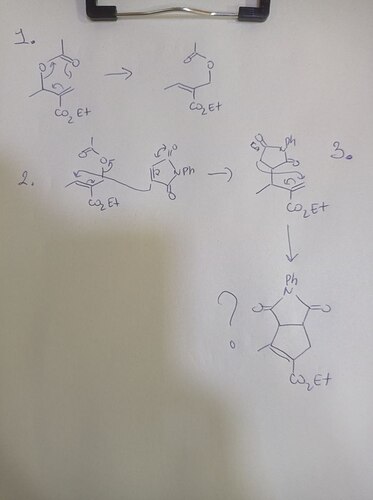 photo5211124609997453906