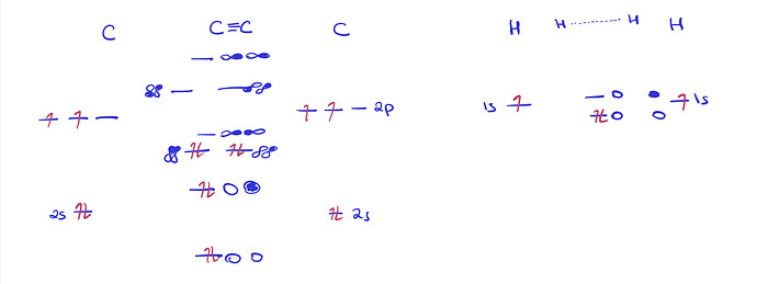 IMG_0072.PNG