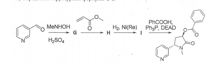 Screenshot_20240213-184958_Samsung Notes