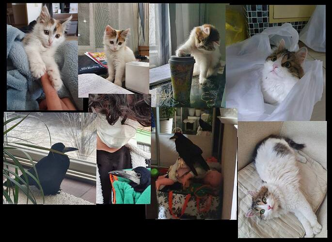 telegram-cloud-photo-size-2-5334932544157762107-y