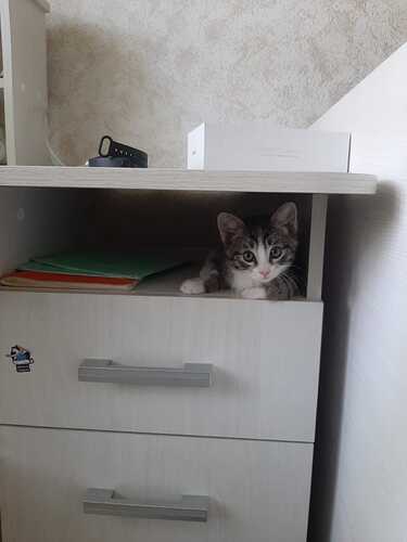 IMG-20221105-WA0024