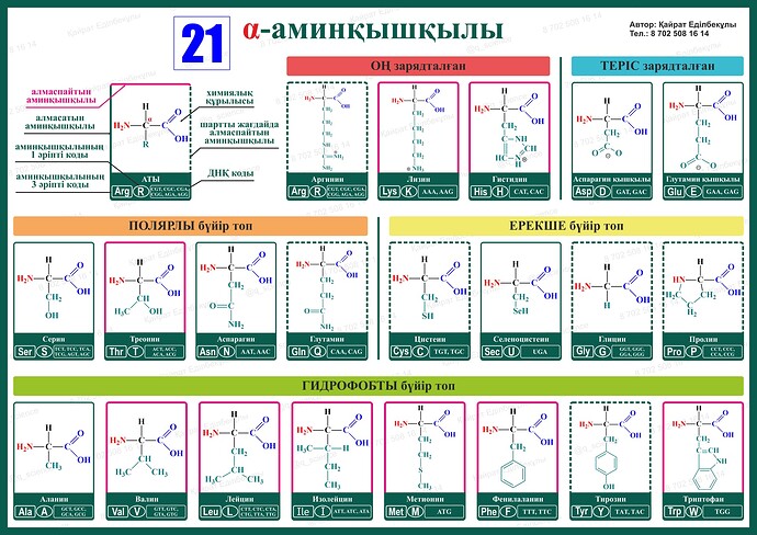 Poster Aminoacids framed_BC