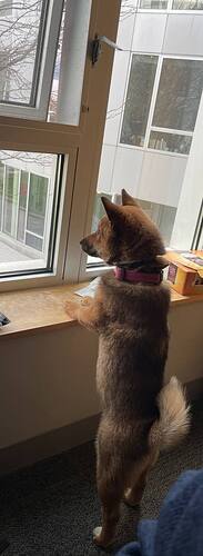 IMAGE 2023-04-20 14:44:16
