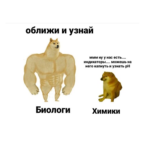 IMG_20230727_150017_464