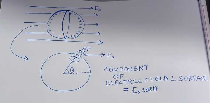 WhatsApp Image 2023-07-17 at 23.18.11