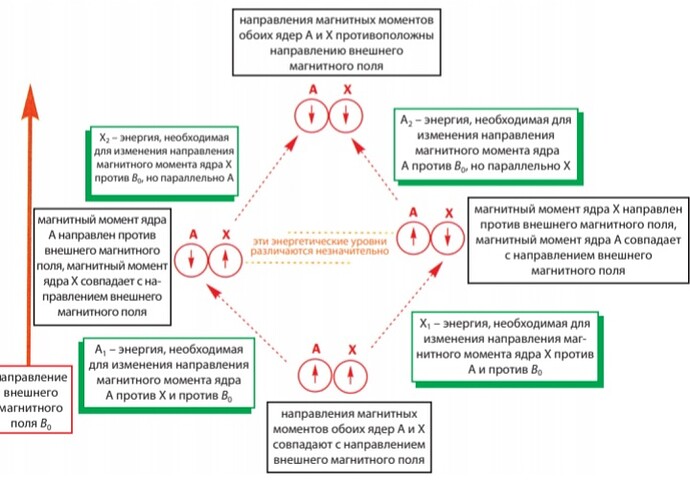Screenshot_20220921-175317_Samsung Notes