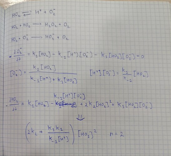 photo_2025-12-19 20.04.12