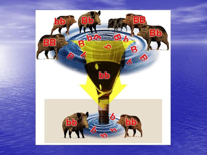 {7CB82978-8801-4B7B-AEAC-F00E1A9D8CFD}