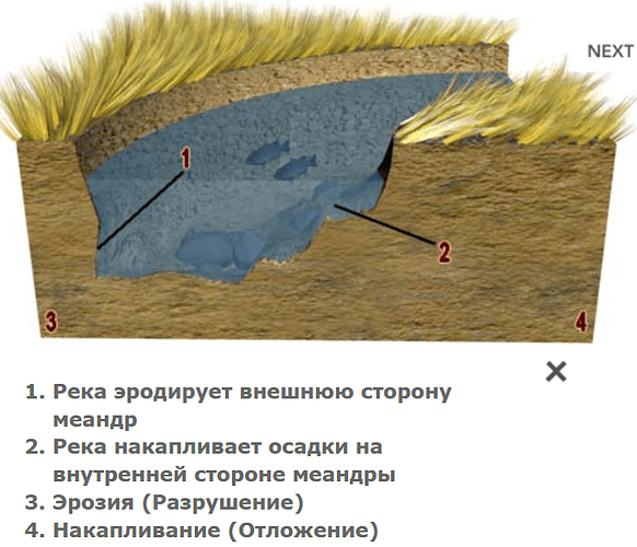 Снимок экрана 2024-07-20 222411