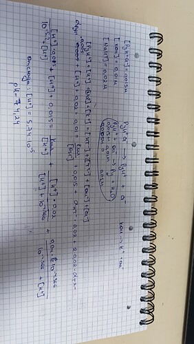 IMG_20250210_073654