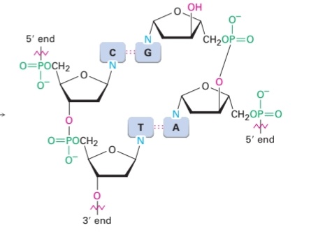 Screenshot_20240129-150236_Samsung Notes