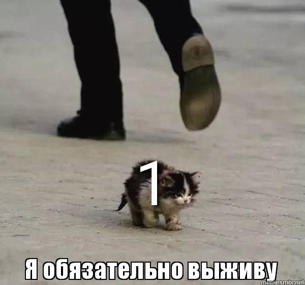 51067ff957f48c067fade57e59271384